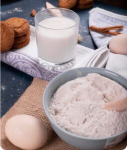 Premium dairy powder supplier for bulk export and global buyers