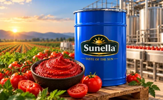 Aseptic Tomato Paste in Bulk Drum for Food Manufacturers